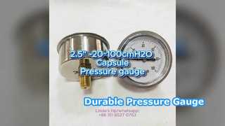 2.5" 60mm -20~100cmH2O Cassa in acciaio+collegamento in ottone