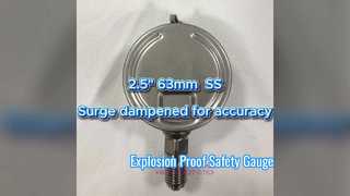 2,5" 63 mm 0~1,6MPa/0~16kgf/cm2 Smorzamento delle sovratensioni per la massima precisione Tutto in acciaio inossidabile, quadrante verticale, baionetta