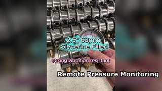 Cassa in acciaio da 2,5" 63 mm, riempita di glicerina