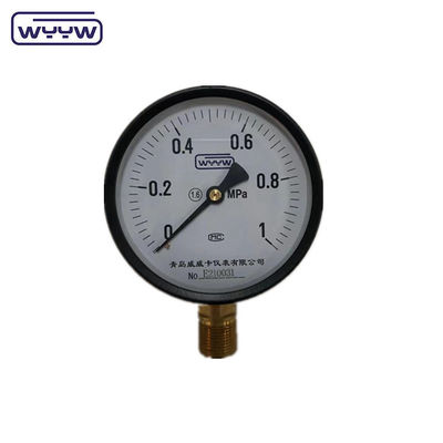 Prezzo WYYW fabbrica 1MPa 1,6MPa 100mm manometro di pressione M20X1.5 G1/2&quot; manometro dell'acqua