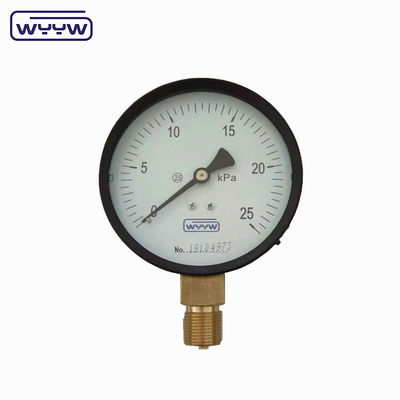 Misuratore di pressione della capsula 100 Mbar Manometro di manometro 100 mm G1/2&quot;