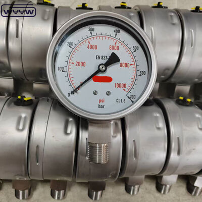 Misuratore di pressione a anello di bezel riempito di glicerina di silicone con quadrante da 100 mm e montaggio inferiore per applicazioni industriali
