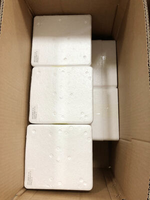 6" 0-1.6MPa Misuratore di pressione remoto con una precisione dell'1,6%